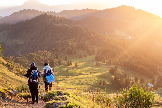 Zwei Personen mit Wanderstöcken und Rücksäcken, wie sie in einer bergigen Landschaft bergab wandern.